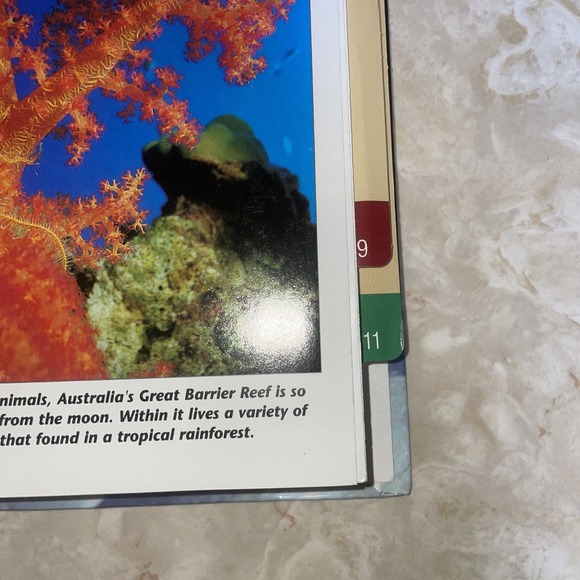 wildlife fact file Sections 6-11, Roughly 350 Cards - Picture 6 of 15